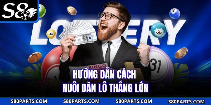 Hướng dẫn cách  nuôi dàn lô thắng lớn 