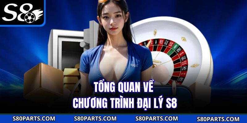 Tổng quan về chương trình đại lý S8 